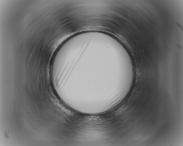 X0000102870846200809081204