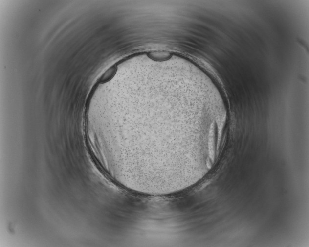 X0000102870847200809081204