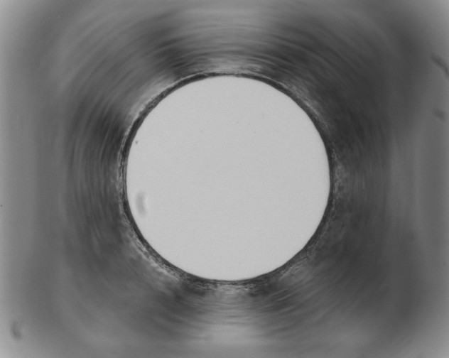 X0000102870848200809081204