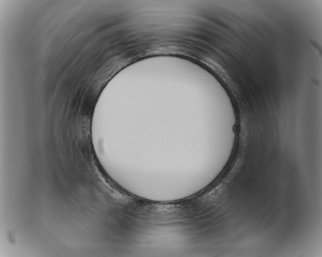 X0000102870849200809081204