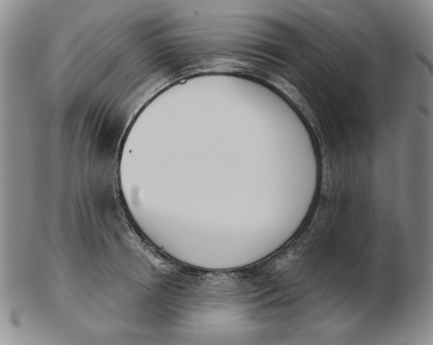 X0000102870850200809081204