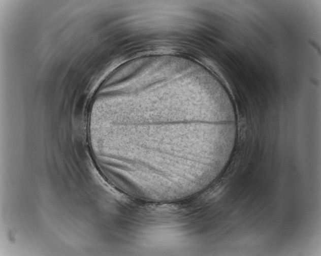 X0000102870851200809081204