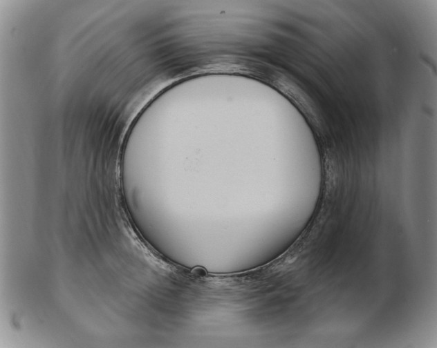 X0000102870852200809081204