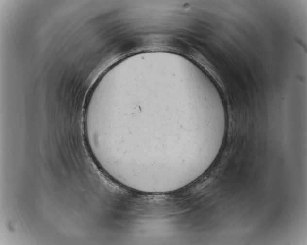 X0000102870853200809081204