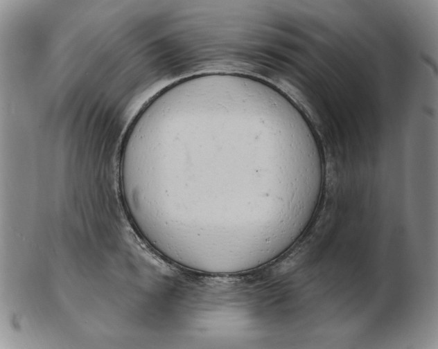 X0000102870854200809081204