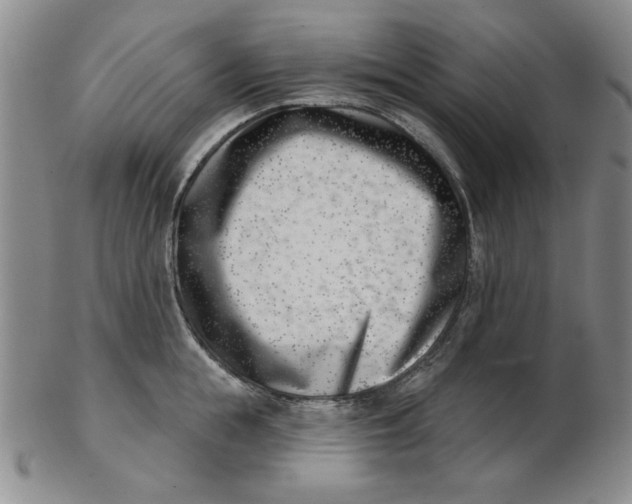 X0000102870855200809081204