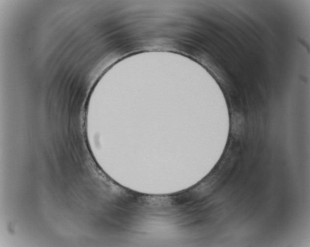 X0000102870856200809081204