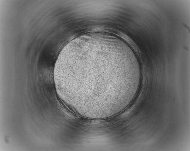 X0000102870857200809081204