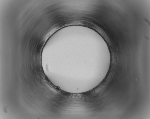 X0000102870858200809081204