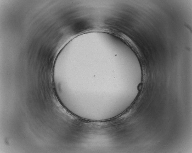 X0000102870860200809081204