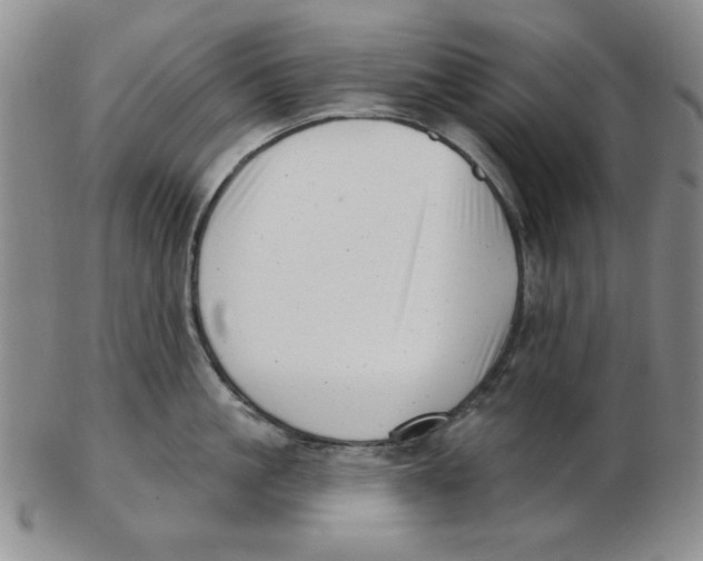 X0000102870861200809081204