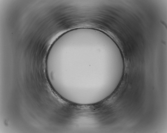 X0000102870862200809081204