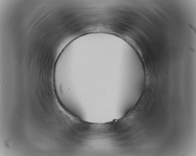 X0000102870863200809081204