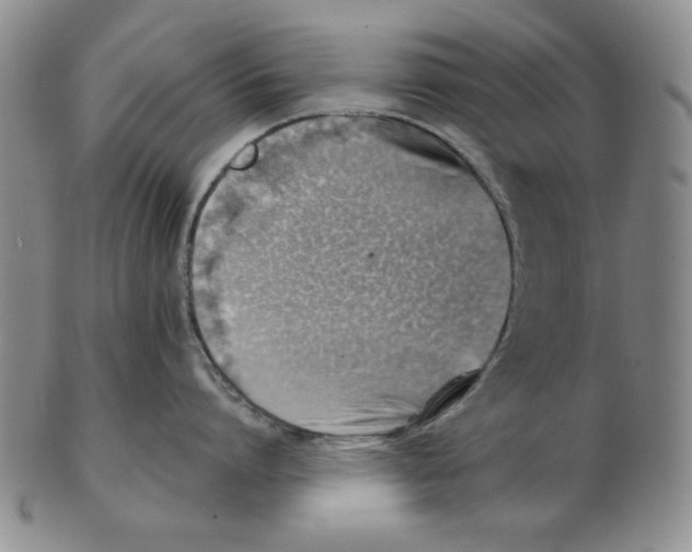 X0000102870864200809081204