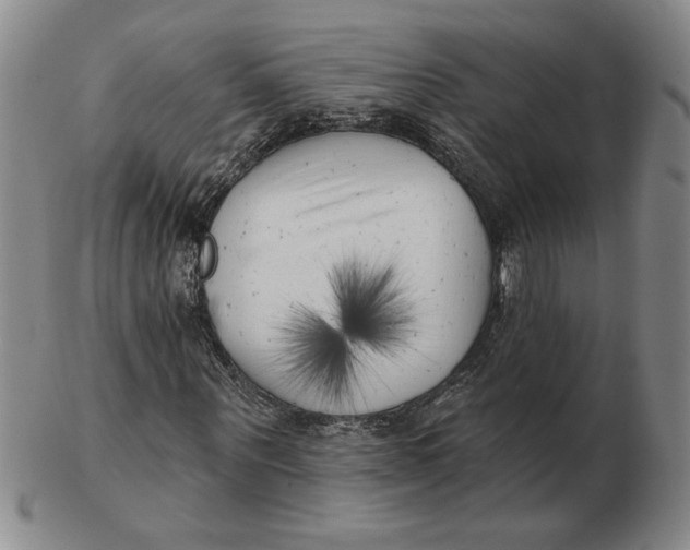 X0000102870867200809081203