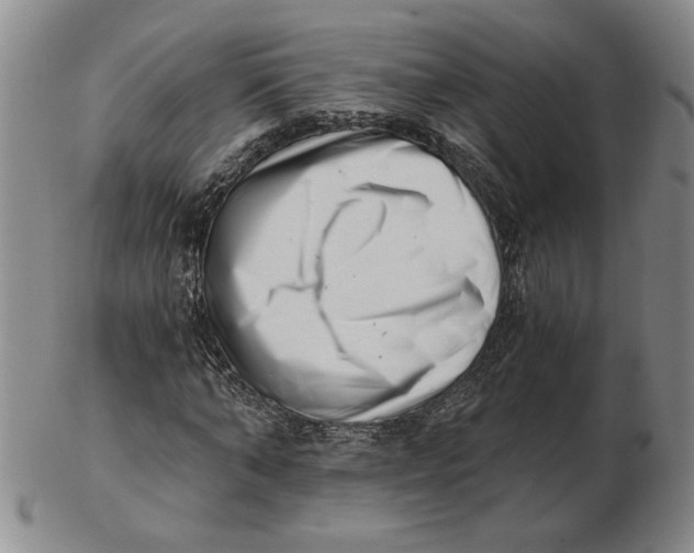 X0000102870870200809081203