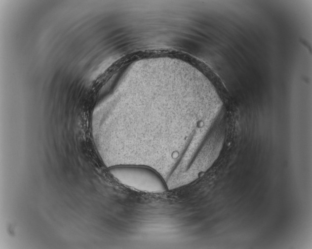 X0000102870871200809081203