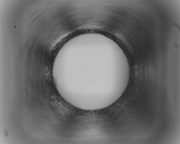 X0000102870872200809081203