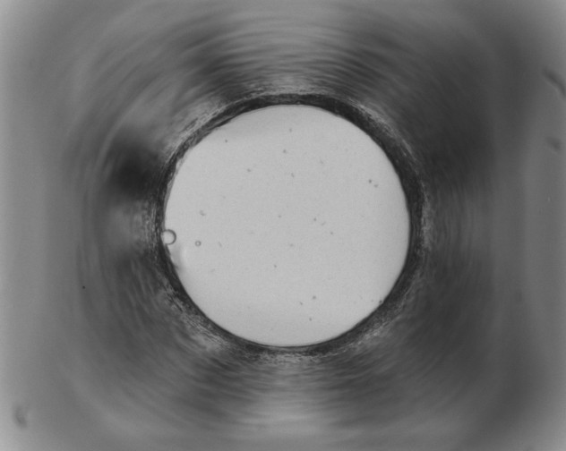 X0000102870873200809081203