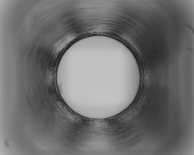 X0000102870874200809081203