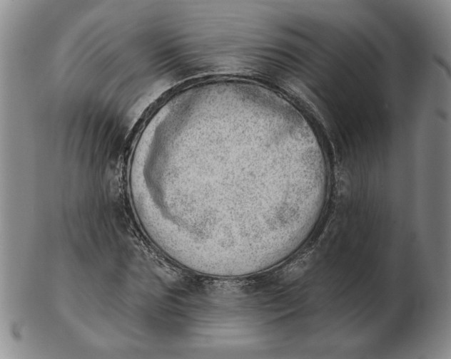 X0000102870875200809081203