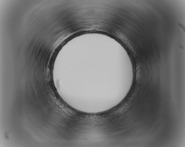 X0000102870876200809081203