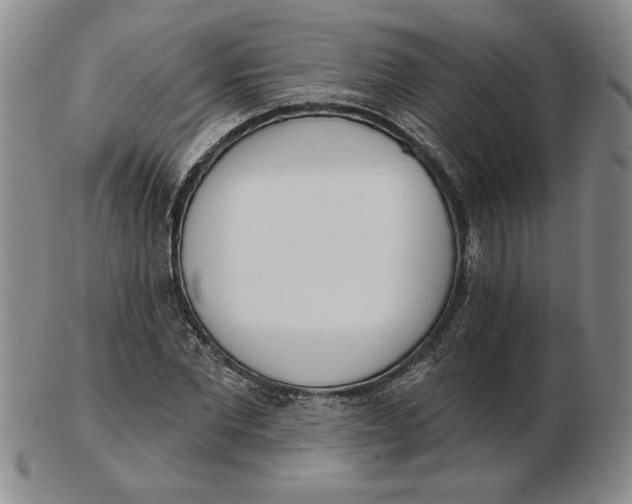 X0000102870877200809081203