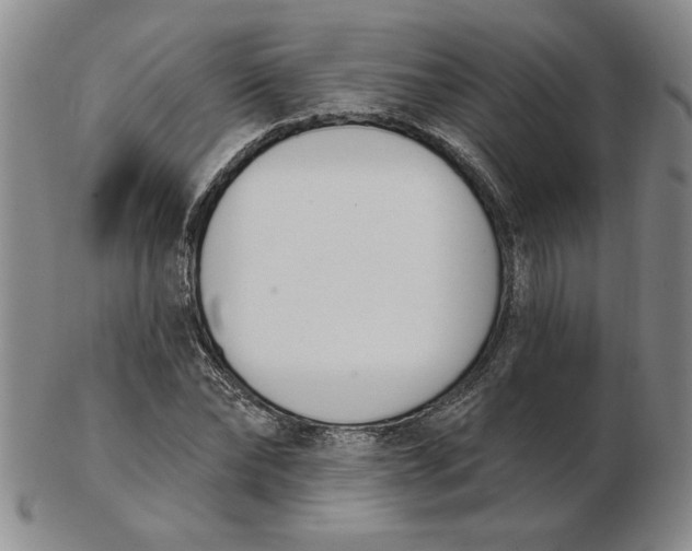 X0000102870878200809081203