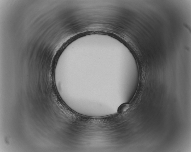 X0000102870880200809081203