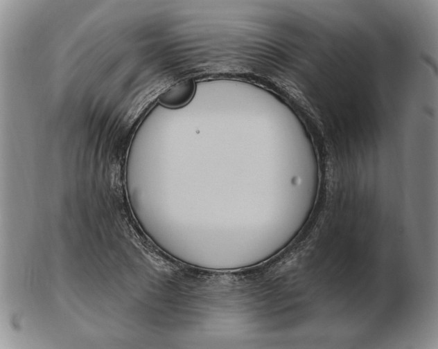 X0000102870881200809081203