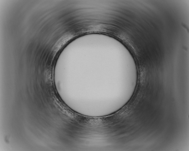 X0000102870882200809081203