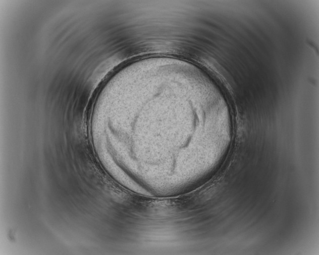 X0000102870883200809081203