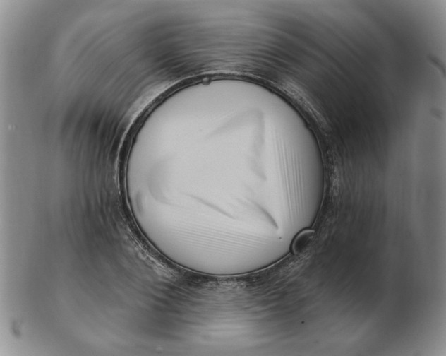 X0000102870884200809081203