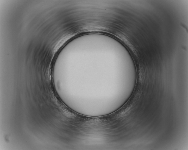 X0000102870885200809081203