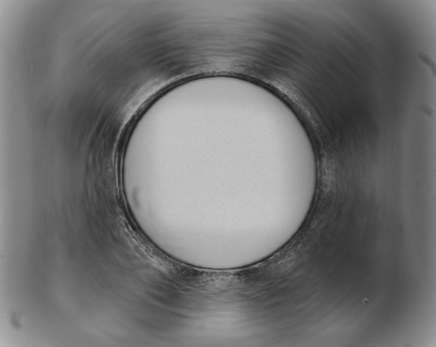 X0000102870886200809081203