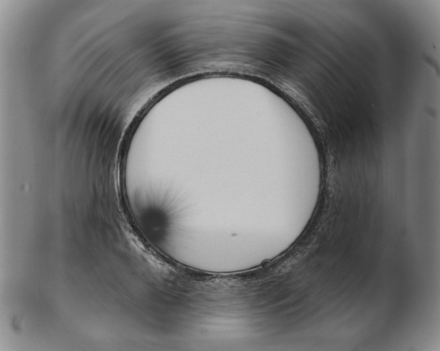 X0000102870888200809081203