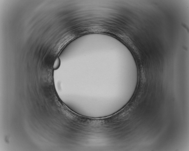 X0000102870889200809081203