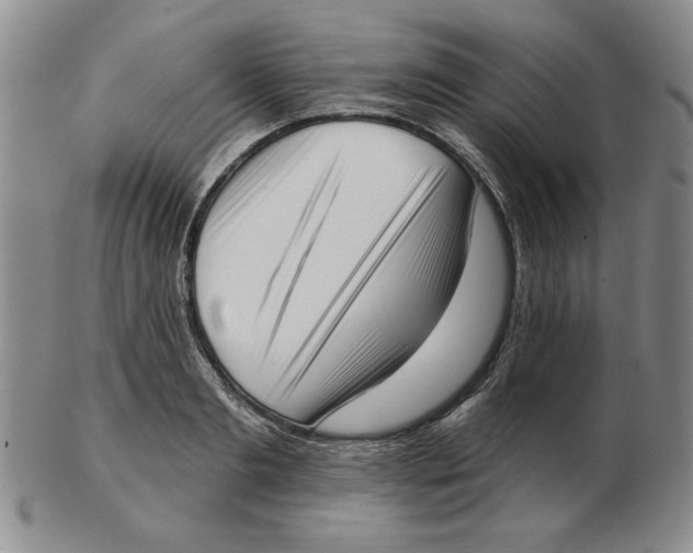 X0000102870893200809081203