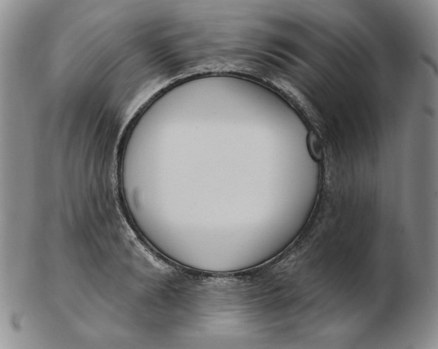 X0000102870894200809081203