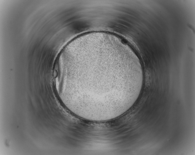 X0000102870895200809081203