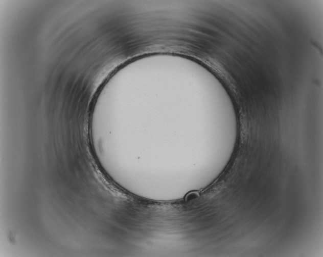 X0000102870896200809081203