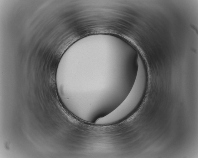 X0000102870897200809081203