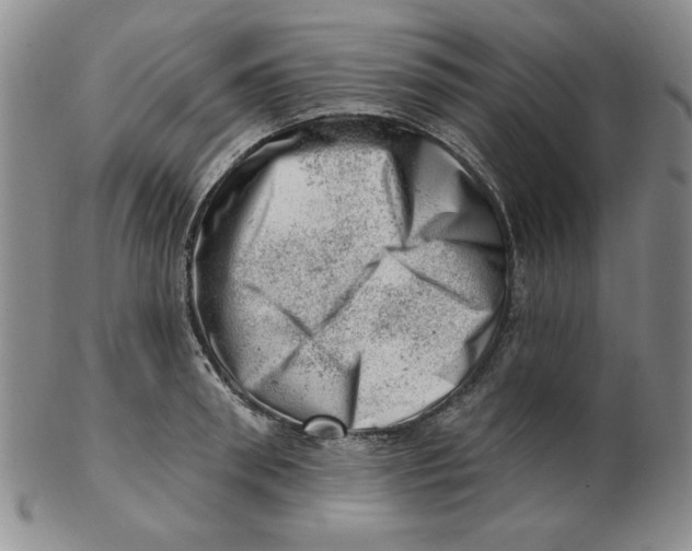 X0000102870898200809081203