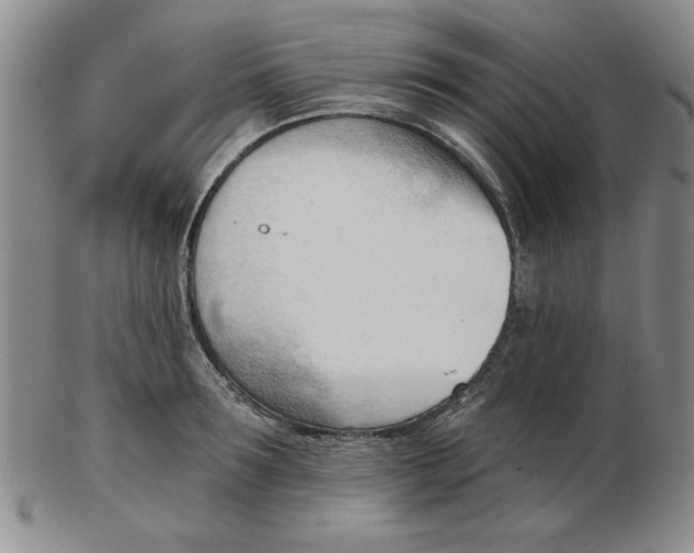 X0000102870899200809081203