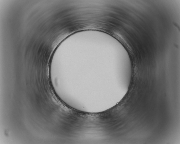 X0000102870900200809081203