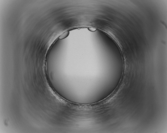 X0000102870901200809081203