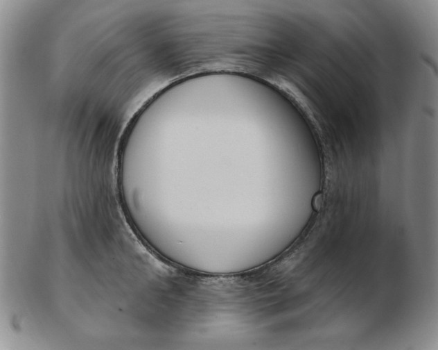 X0000102870902200809081203