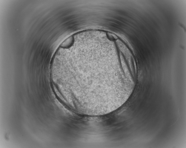 X0000102870903200809081203