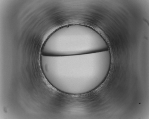 X0000102870904200809081203