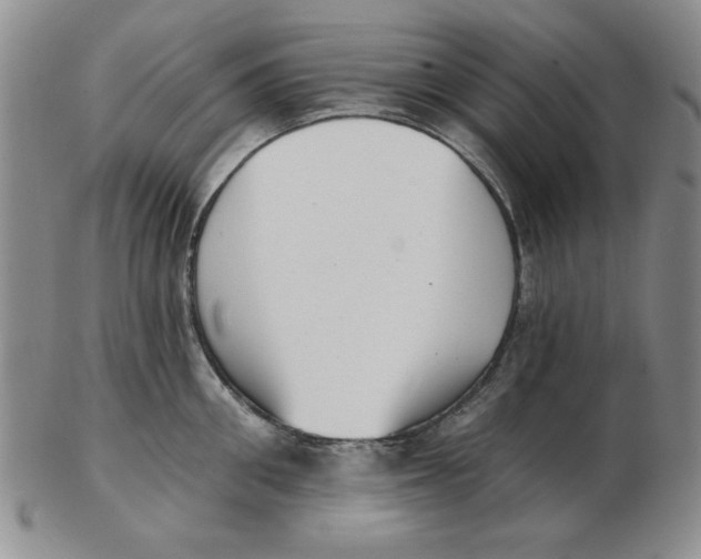 X0000102870906200809081203